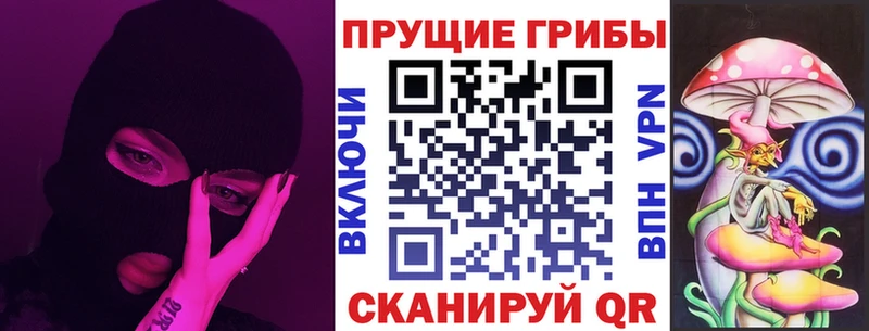 Псилоцибиновые грибы прущие грибы  как найти закладки  Пошехонье 